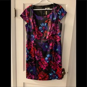 Beautiful brand new Dress (size 14)